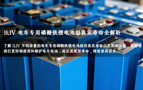 11.1V10AH20AH30AH40AH60AH80AH電車(chē)專(zhuān)用磷酸鐵鋰電池組真實(shí)壽命
